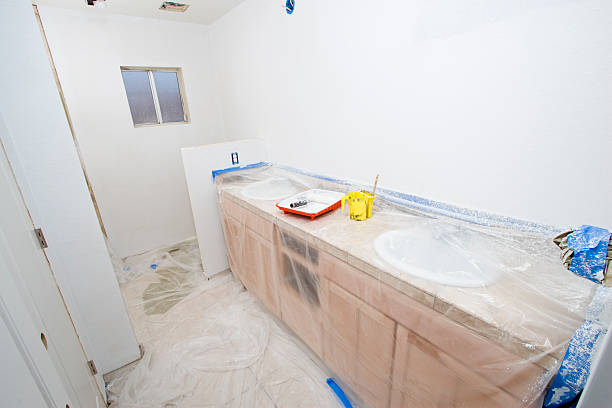 Professional Dry wall and painting in Lake Elmo, MN